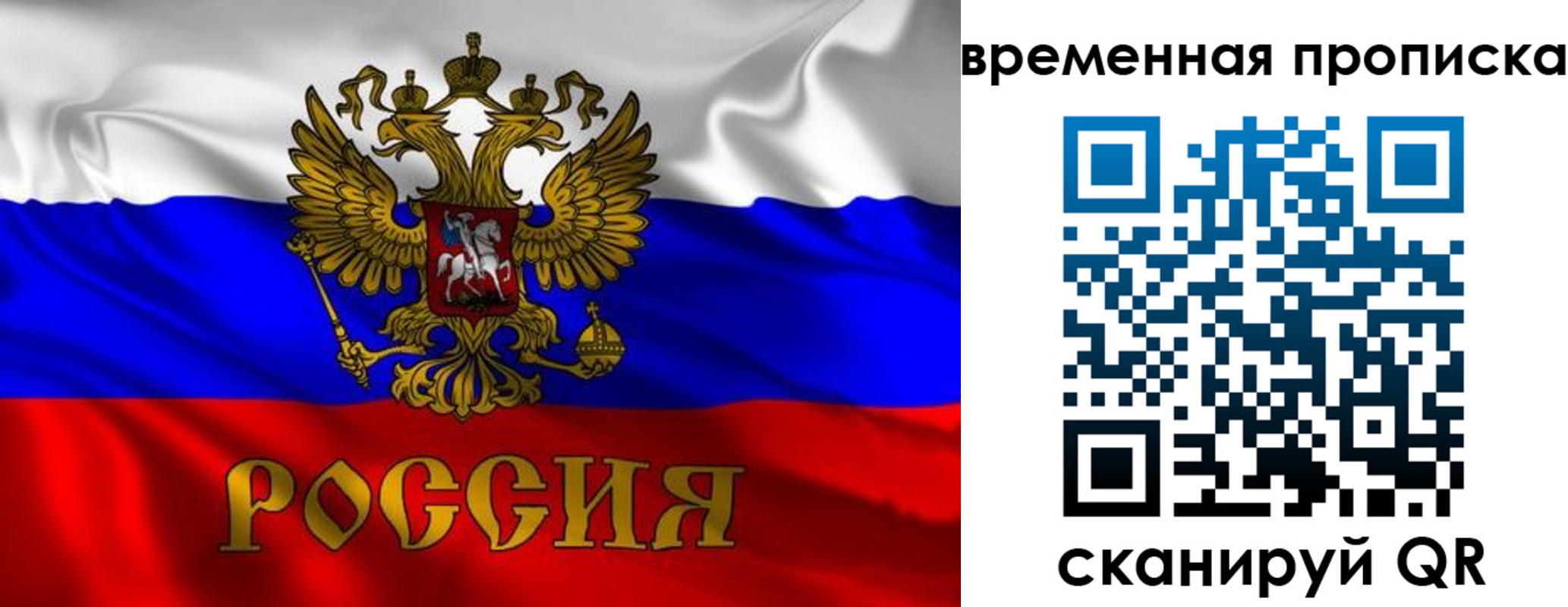прописка законно в Палласовке